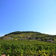 Le Domaine, Mont Brouilly en Beaujolais Le Domaine, Mont Brouilly en Beaujolais