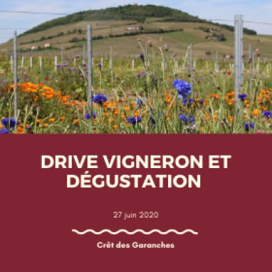 Drive vigneron en Beaujolais Drive vigneron en Beaujolais