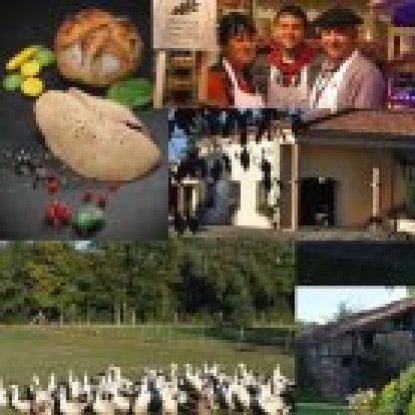 Ferme Le Bayle, foie gras de canard