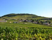 Le Mont Brouilly et ses coteaux ensoleillés