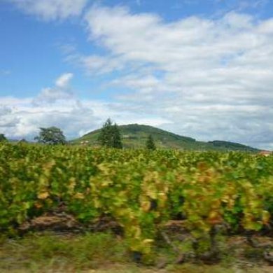 Beaujolais, Mont Brouilly Beaujolais, Mont Brouilly