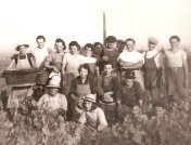 Vendanges au Crêt des Garanches, septembre 1942