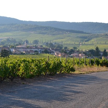 Venir au Crêt des Garanches, Odenas