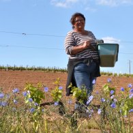Sylvie dans les fleurs et les vignes Sylvie dans les fleurs et les vignes
