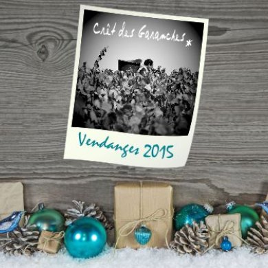 Excellente année 2016 Excellente année 2016